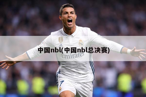 中国nbl(中国nbl总决赛)
