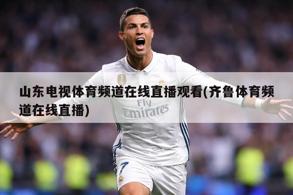 山东电视体育频道在线直播观看(齐鲁体育频道在线直播)